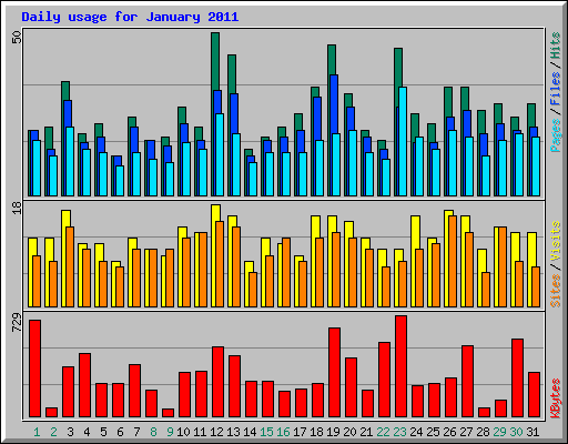 Daily usage for January 2011