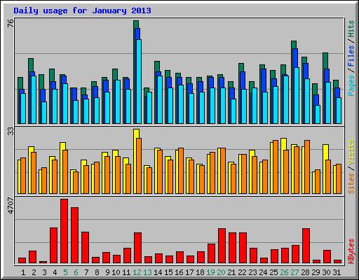 Daily usage for January 2013