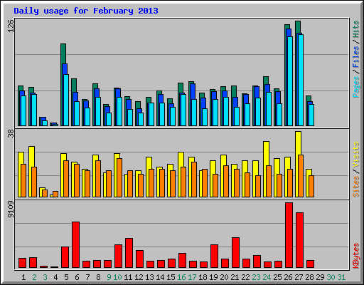 Daily usage for February 2013