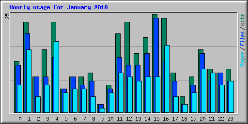 Hourly usage for January 2010