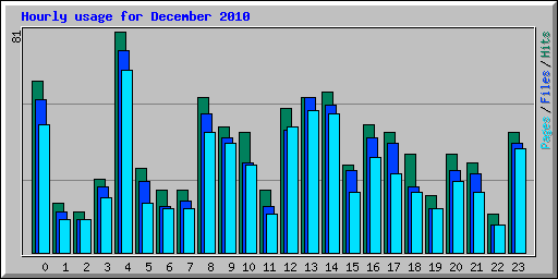 Hourly usage for December 2010
