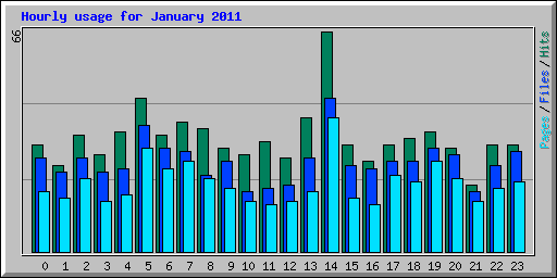 Hourly usage for January 2011