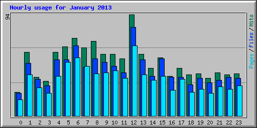 Hourly usage for January 2013