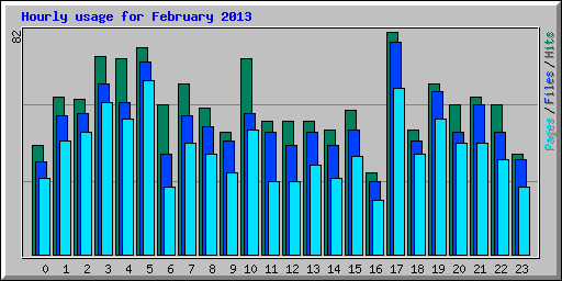 Hourly usage for February 2013