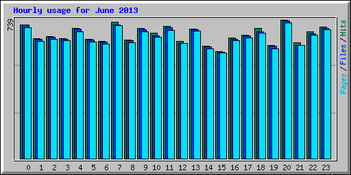 Hourly usage for June 2013