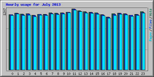 Hourly usage for July 2013