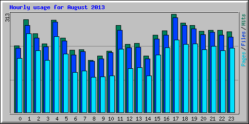 Hourly usage for August 2013
