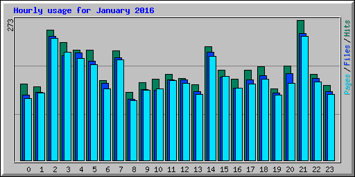 Hourly usage for January 2016