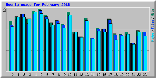 Hourly usage for February 2016